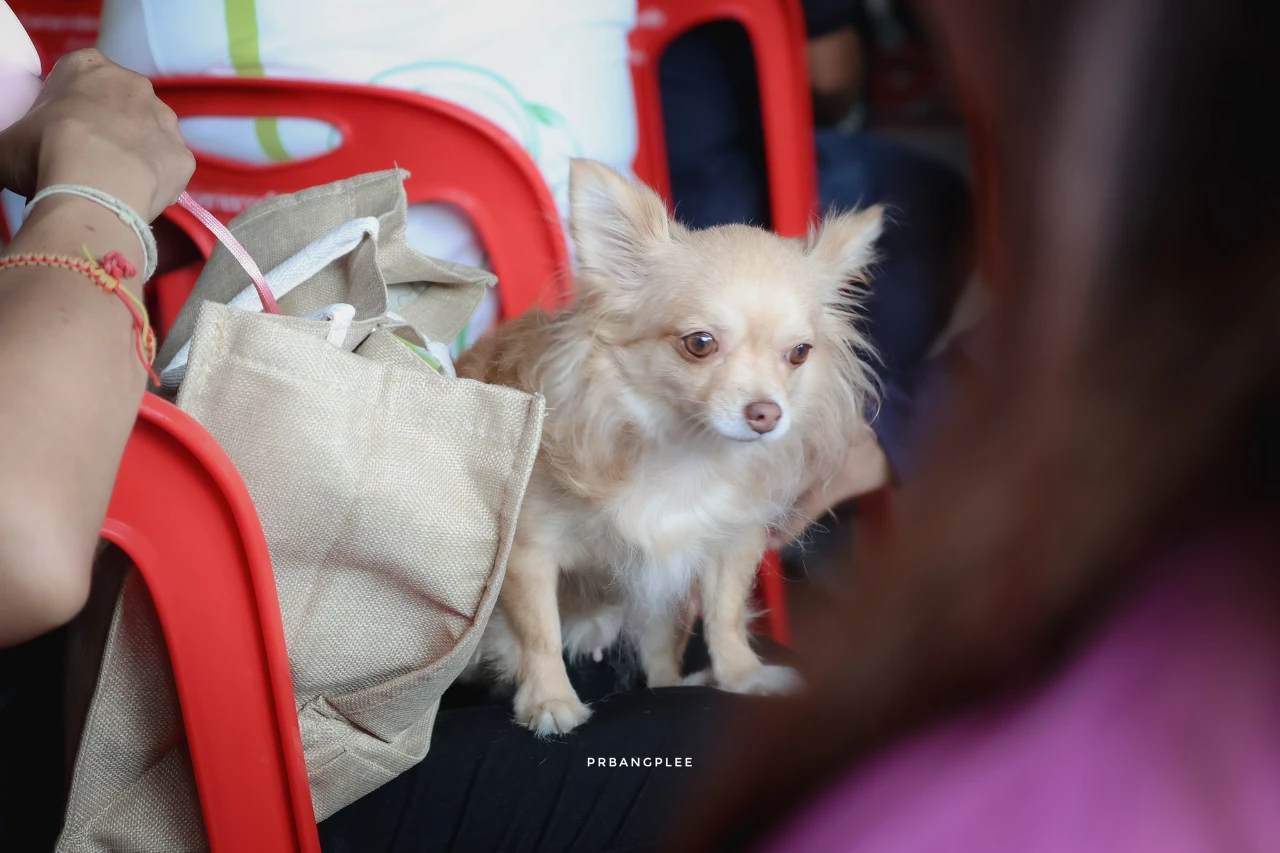 catalogs_file_579_56_47_329761.webp