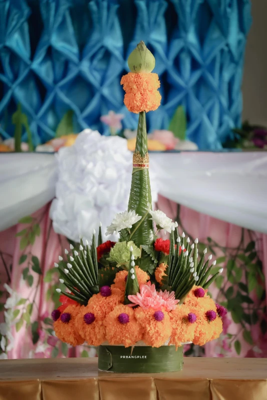 catalogs_file_585_40_11_920542.webp